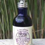 L’ACCALMIE
